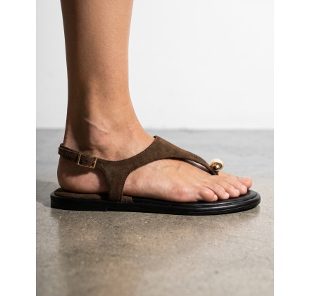 CR-132 BROWN