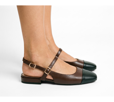 HZ66-1 TAN