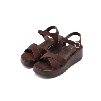 3556 BROWN