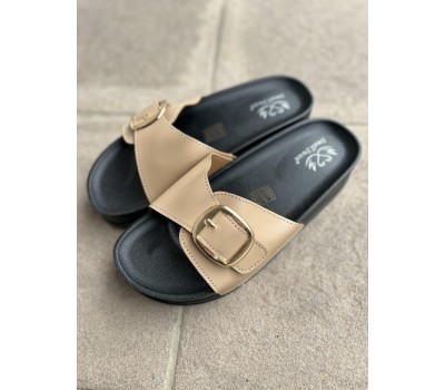 OM5551-2 CAMEL