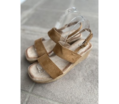 SD9121-8 CAMEL